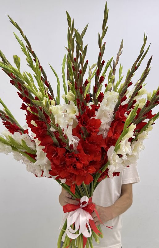 Букет гладиолусов 21шт 70см