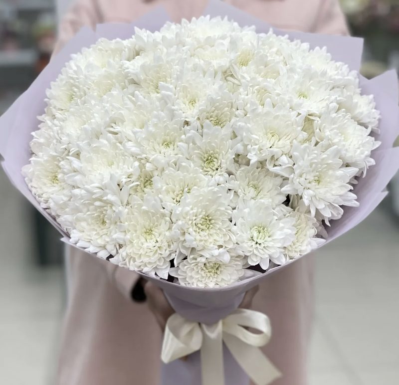 Букет хризантем мелко цвет 35шт 70см