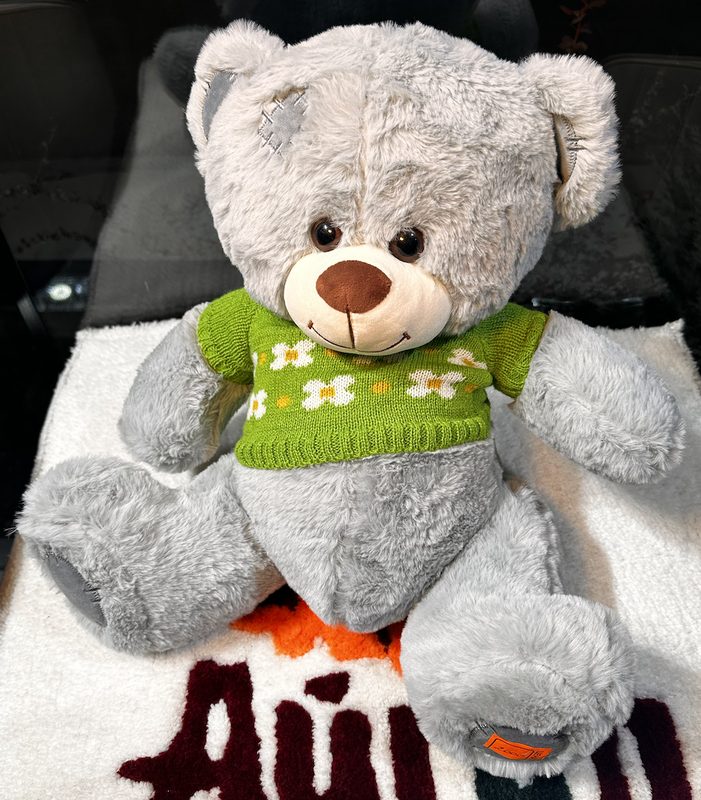 Teddy мишка (средний)