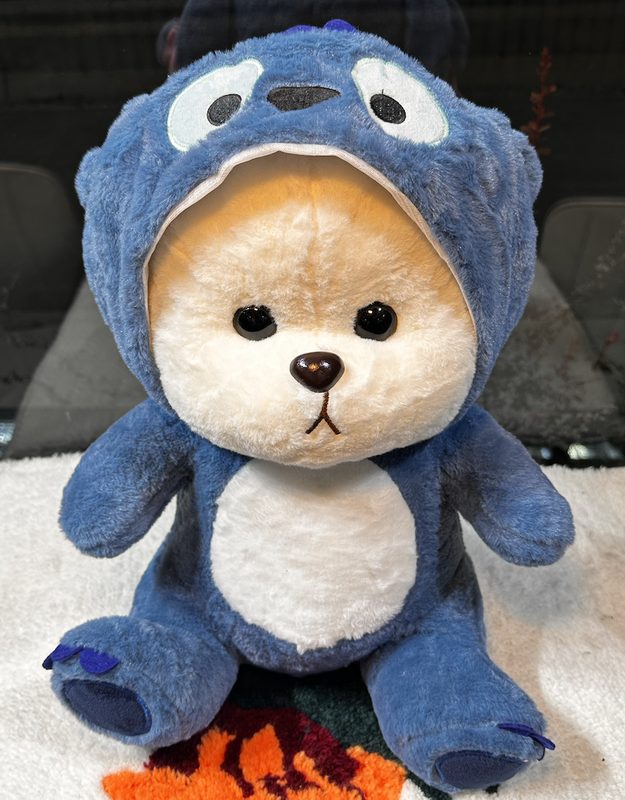 Мишки с капюшоном и пледом (средний)