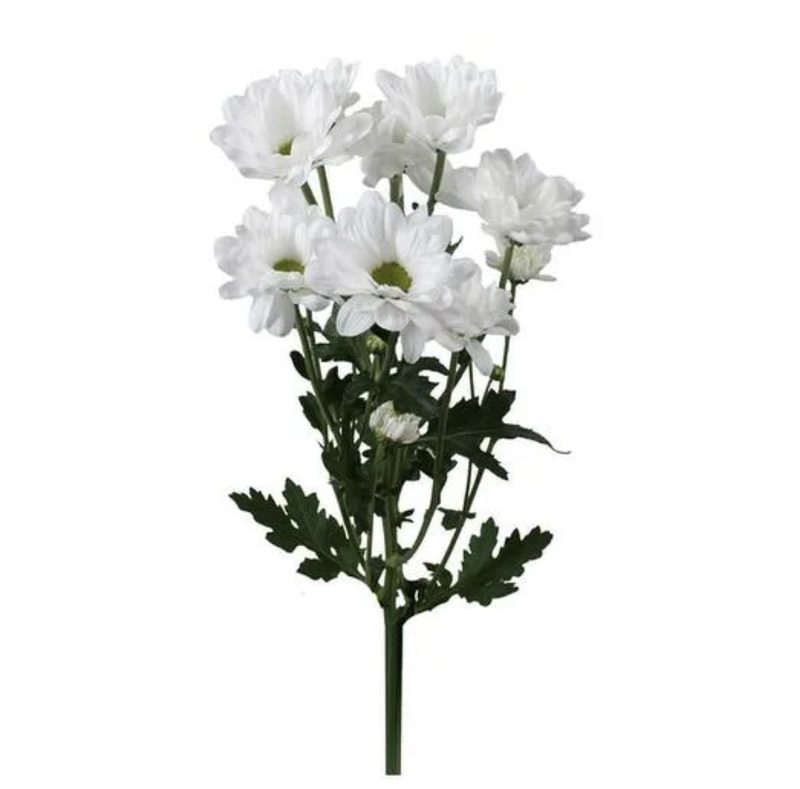 Хризантема 1шт мелкоцвет (60-70см)